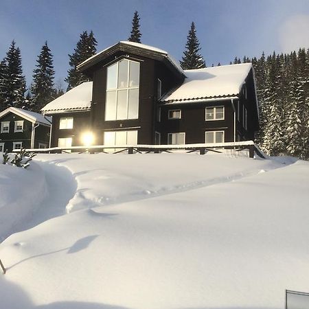 Villa Edvinsvaeg 8 Are Luaran gambar