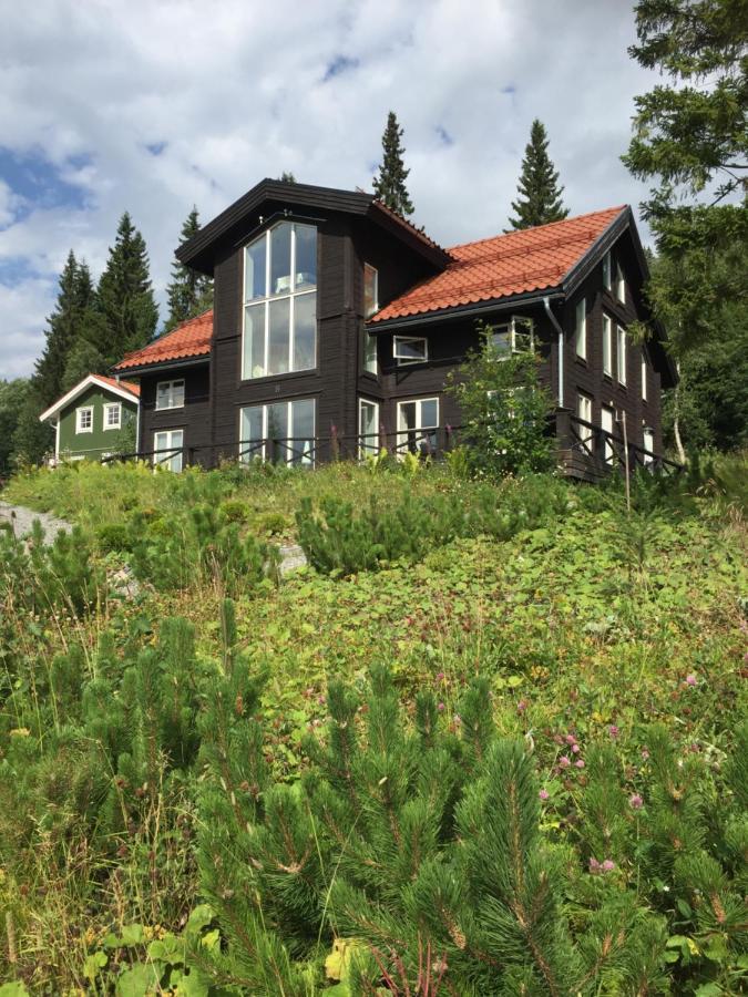 Villa Edvinsvaeg 8 Are Luaran gambar